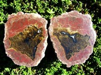 Black Rock Desert Thunderegg